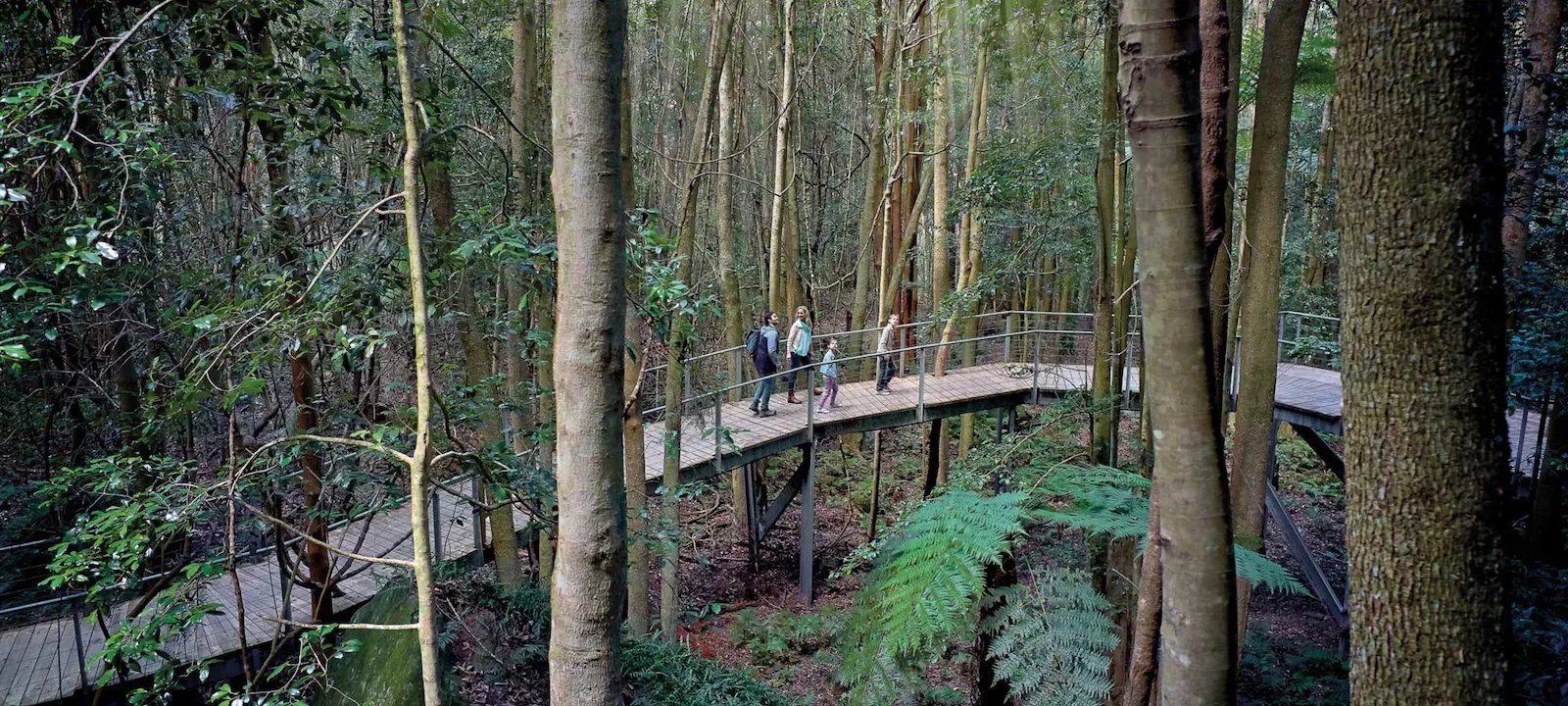 시닉 워크웨이 (Scenic Walkway)